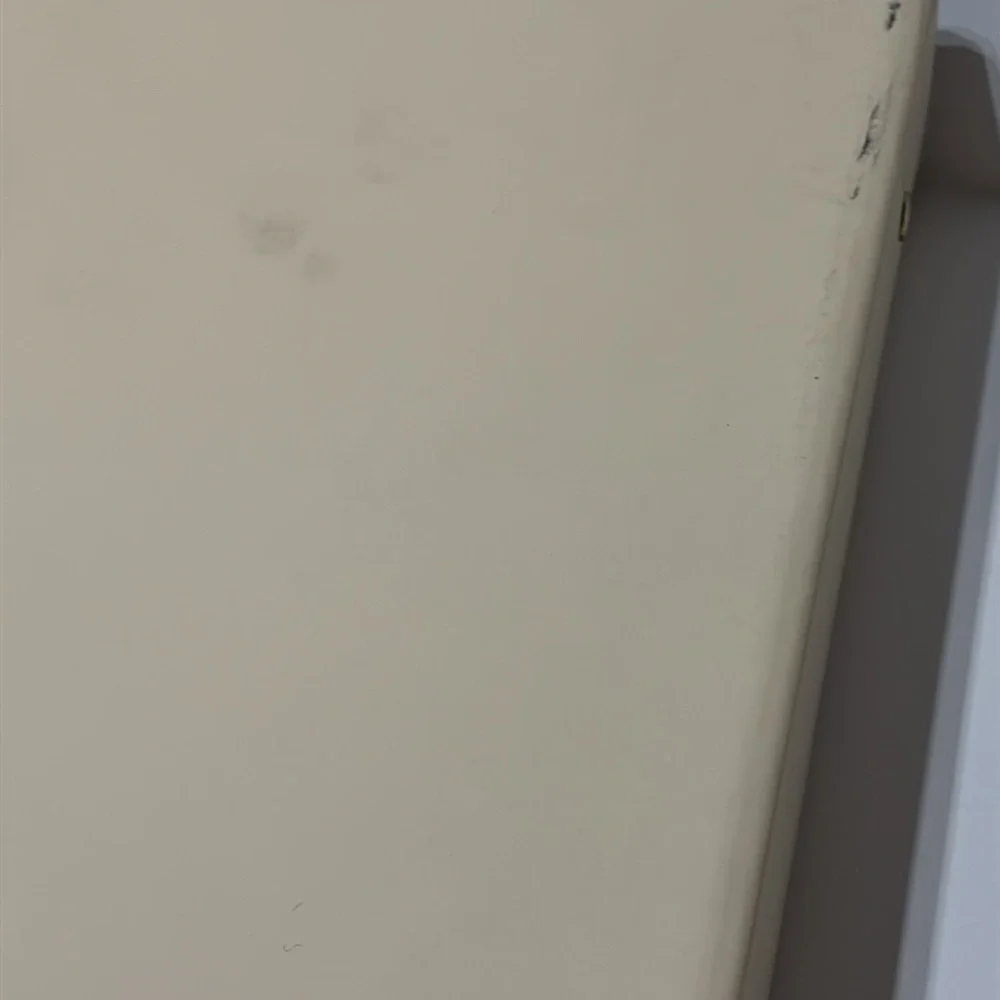 Sugar Paper Cream 3 Ring Binder with Divider Tabs